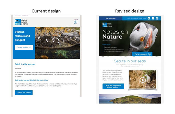 Revised RSPB design approach